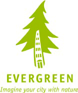 Evergreen