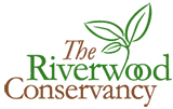 Riverwood