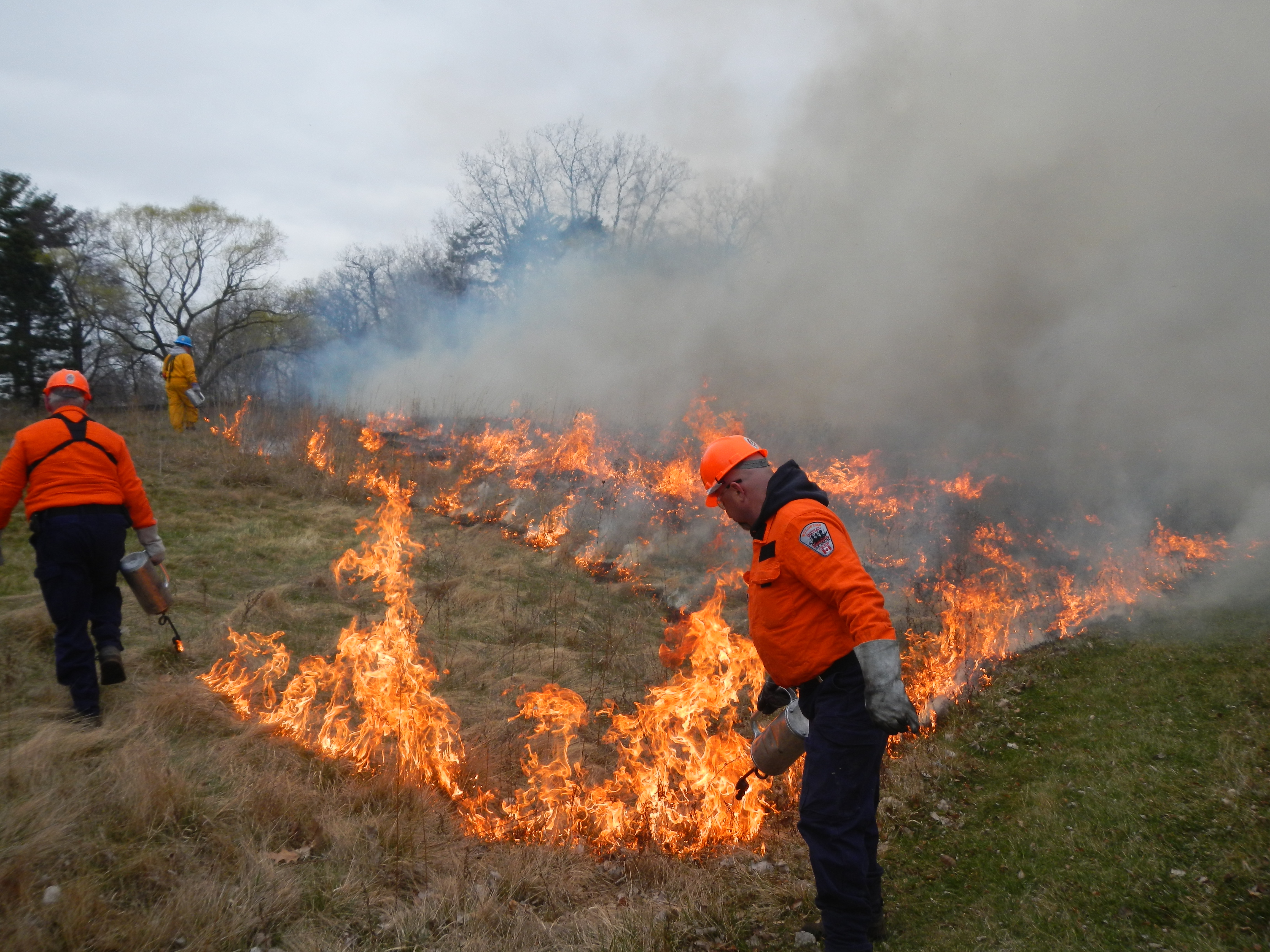 controlled burn