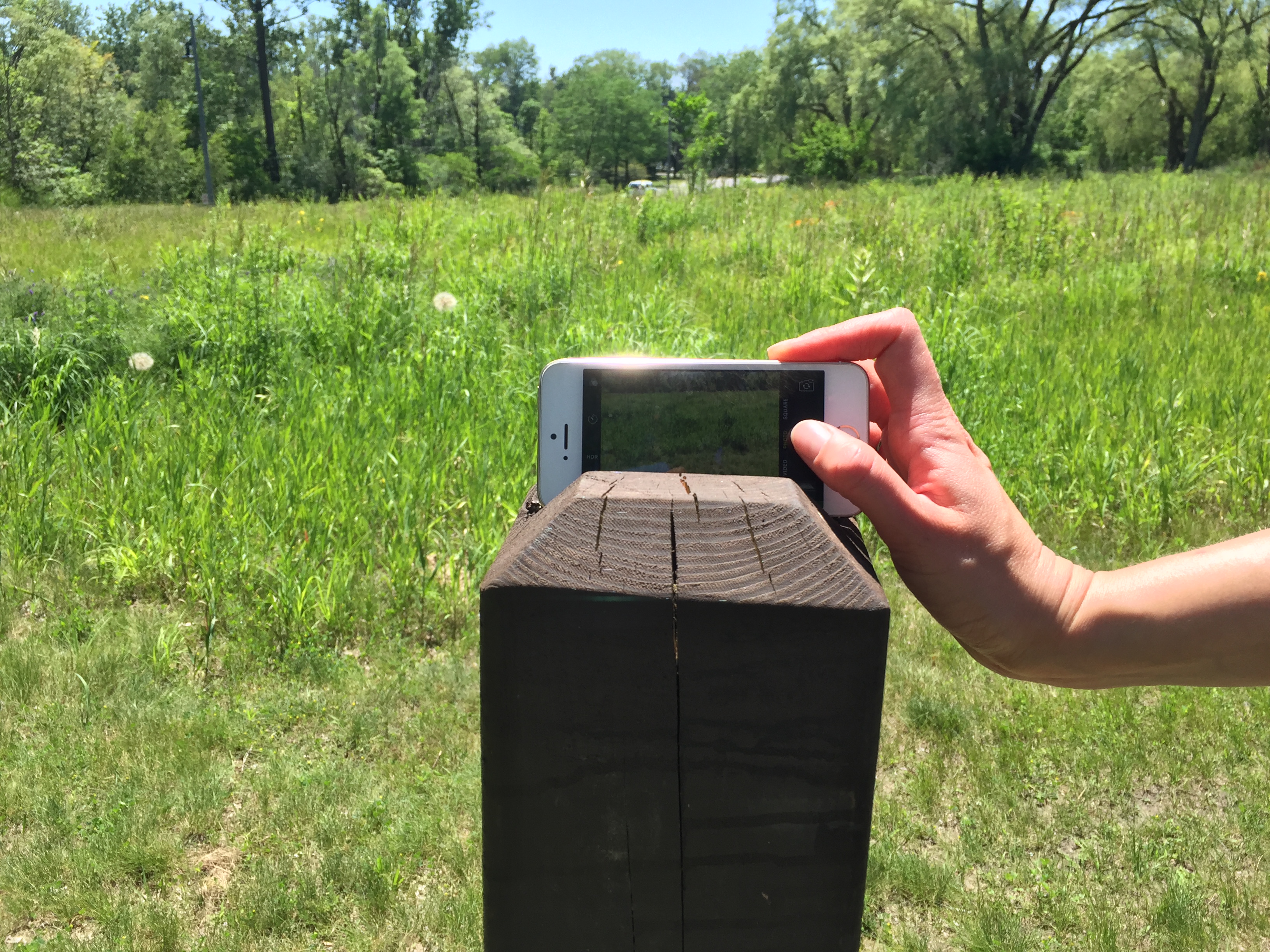 post for camera or mobile phone at prairie