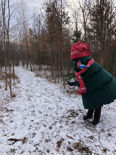 trail