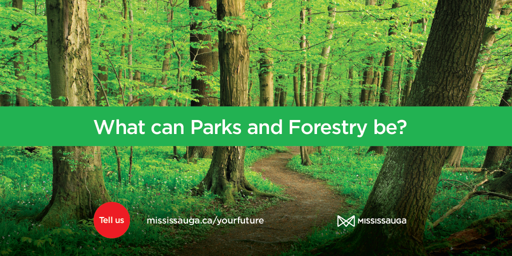 Picture of forested park