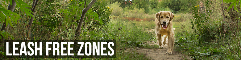 mississauga ca residents leash free zones mississauga ca residents leash free zones