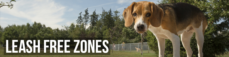 mississauga ca residents leash free zones mississauga ca residents leash free zones
