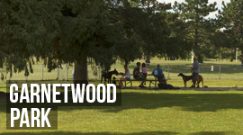 mississauga ca residents leash free zones mississauga ca residents leash free zones