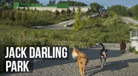 mississauga ca residents leash free zones mississauga ca residents leash free zones