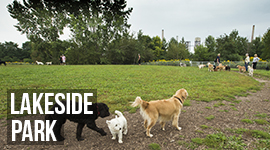 mississauga ca residents leash free zones mississauga ca residents leash free zones