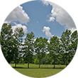 Meadowvale Conservation Park