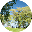 Richard Memorial Park