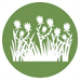Nuisance Weeds