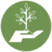 Tree Protection