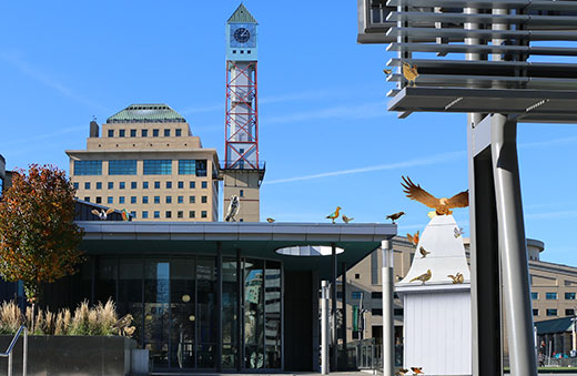 Learn more about Online Services